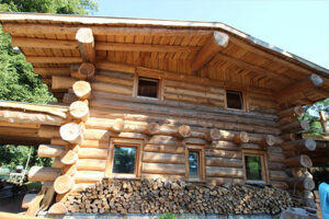 Naturstammhaus Bestensee